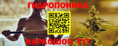 бошки Гусь-Хрустальный