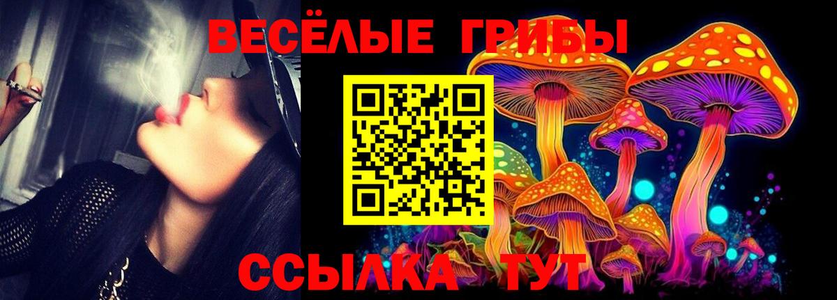 Реутов  Галлюциногенные грибы Cubensis  Вход с VPN 