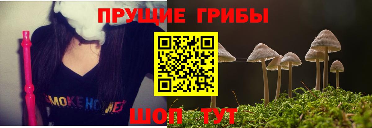 Галлюциногенные грибы Magic Shrooms Реутов
